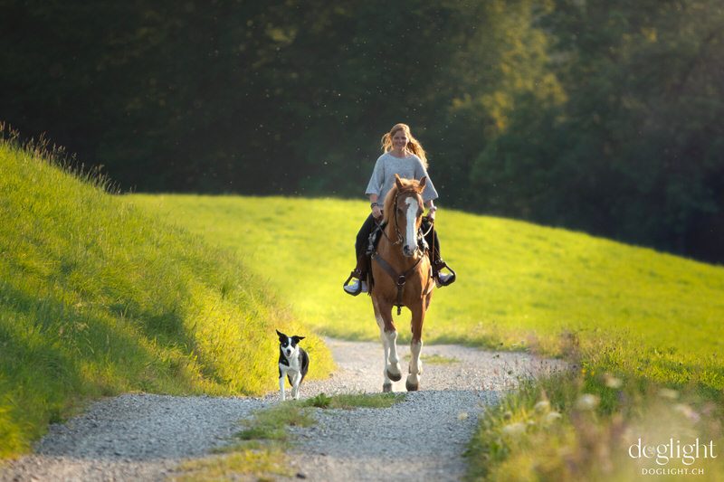 Doglight – Photographie équestre & animalière